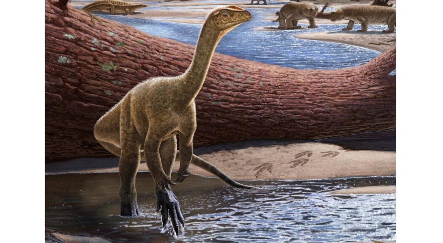 Mbiresaurus raathi, dinossauro mais antigo da África