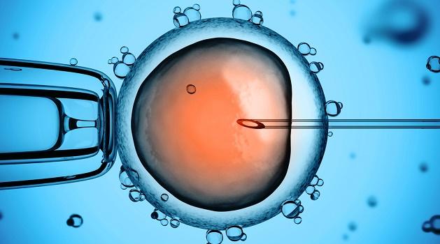 Aprovada modificação genética de embriões humanos-0