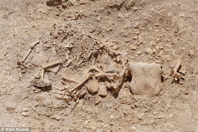Escavação revela animais híbridos em cemitério celta-0