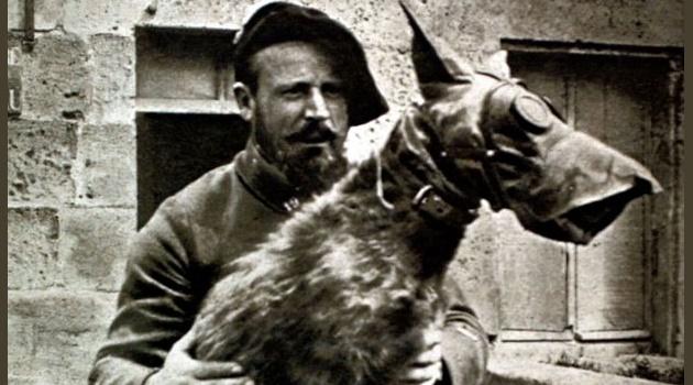 O cachorro herói que salvou incontáveis vidas na Primeira Guerra-0