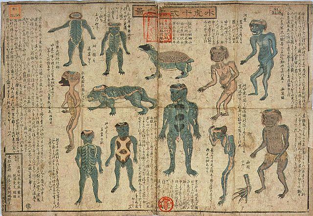 Ossos mumificados provariam a existência de monstro ancestral japonês?-0