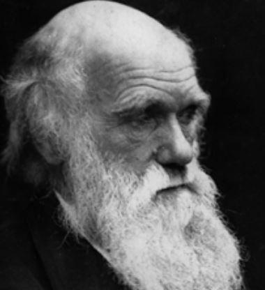 Morre o naturalista Charles Darwin, autor de A Origem das espécies-0