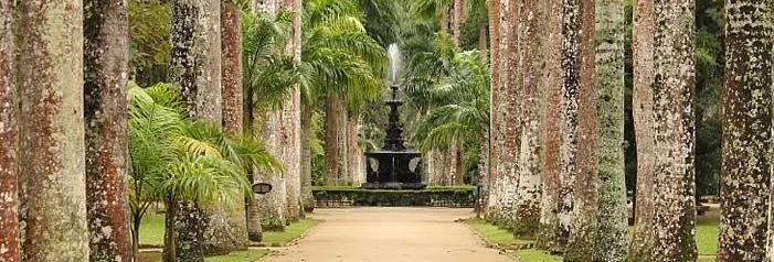 Jardim Botânico é criado no Rio de Janeiro-0