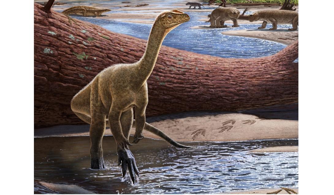 Mais antigo dinossauro encontrado na África tinha "vizinhos" brasileiros-0