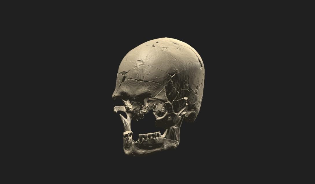 Pesquisadores desvendam segredos de Luzio, esqueleto humano mais antigo de SP-0